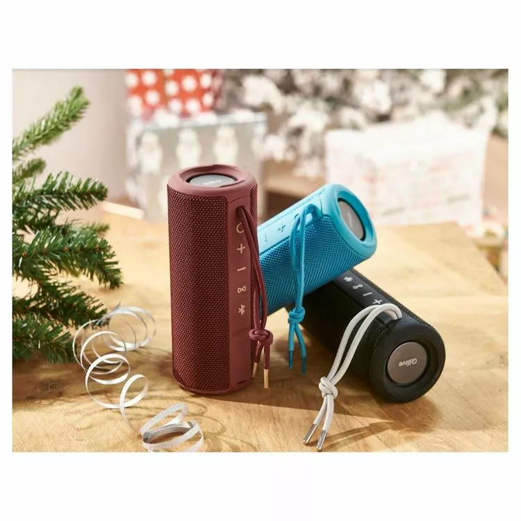 QILIVE Enceinte Bluetooth - Q.1639 Splash - Noir 2 QILIVE Enceinte Bluetooth - Q.1639 Splash - Noir – Image 2