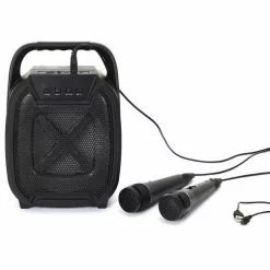 Paris Prix Enceinte Sans Fil Karaoké & 2 Micros 26cm Noir