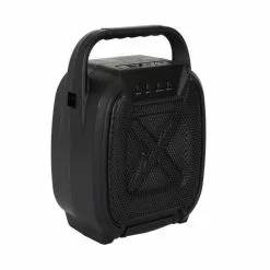Paris Prix Enceinte Sans Fil Karaoké & 2 Micros 26cm Noir -Casque, écouteurs Soldes B2CD 1124
