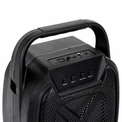 Paris Prix Enceinte Sans Fil Karaoké & 2 Micros 26cm Noir -Casque, écouteurs Soldes B2CD 1127