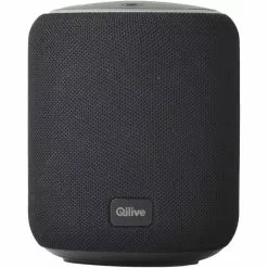QILIVE Enceinte Portable Q1708 - Noire