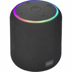 QILIVE Enceinte Portable Q1708 - Noire -Casque, écouteurs Soldes B2CD 1259