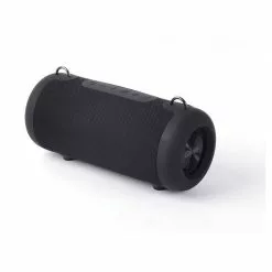 QILIVE Enceinte Q1553 BT Powerbank - Noir