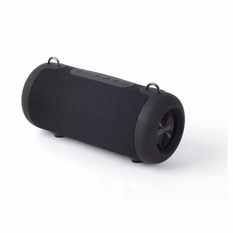 QILIVE Enceinte Q1553 BT Powerbank - Noir 1 QILIVE Enceinte Q1553 BT Powerbank - Noir