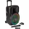 LOTRONIC Enceinte Portable PARTY 12RGB
