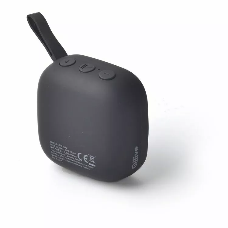 QILIVE Enceinte Portable Q1699 - Noire 1 QILIVE Enceinte Portable Q1699 - Noire